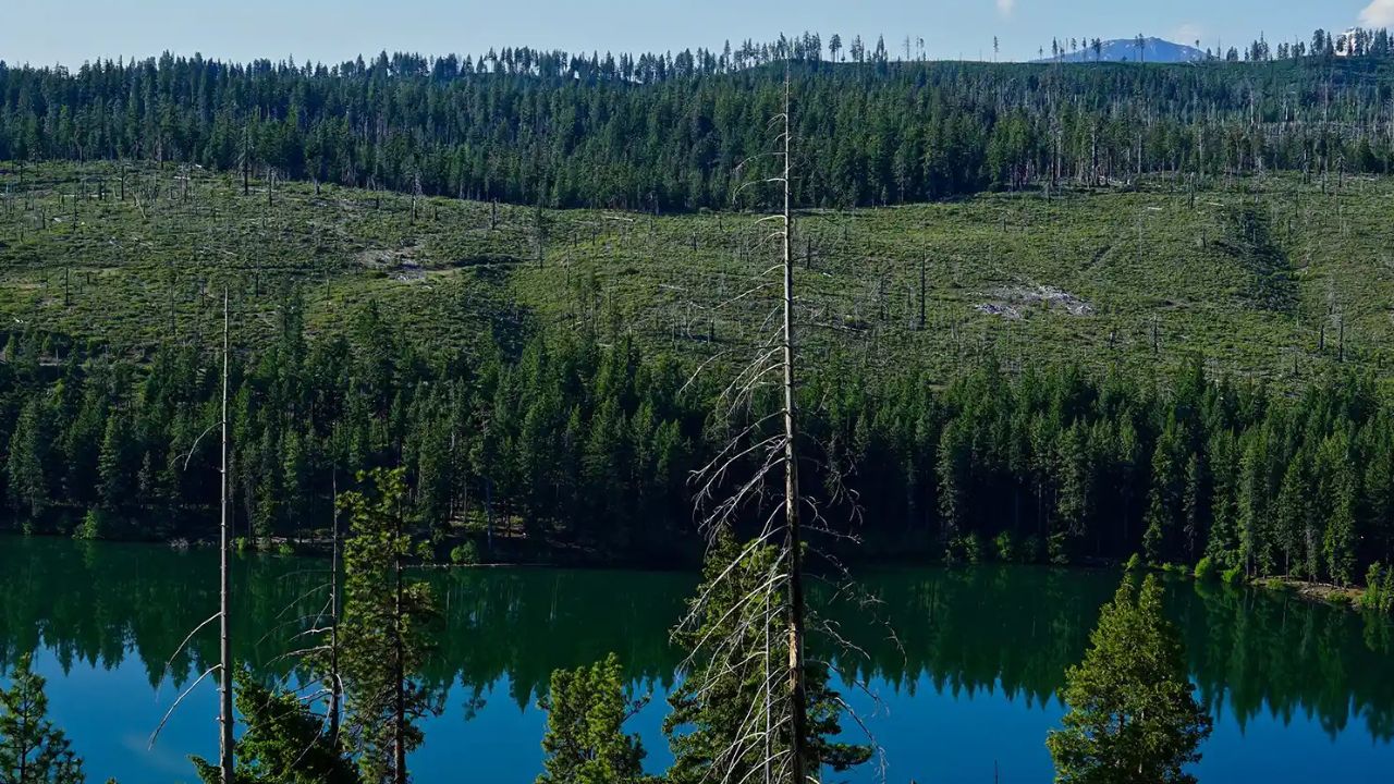 6-Year-Old Dies in Freak Campground Accident Moments After Retrieving Stuffed Animal
