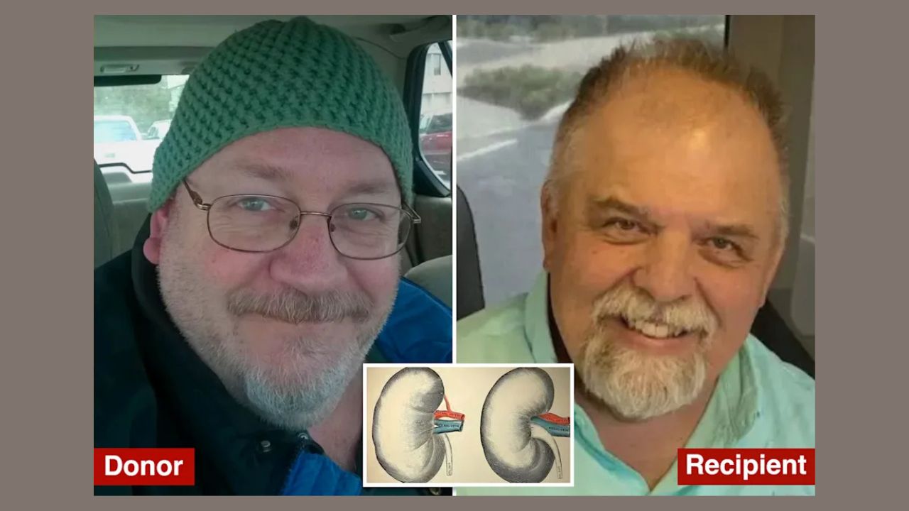 Grandpa Dies After Receiving Rabies-Infected Kidney in Rare Organ Transplant Tragedy, Officials Say