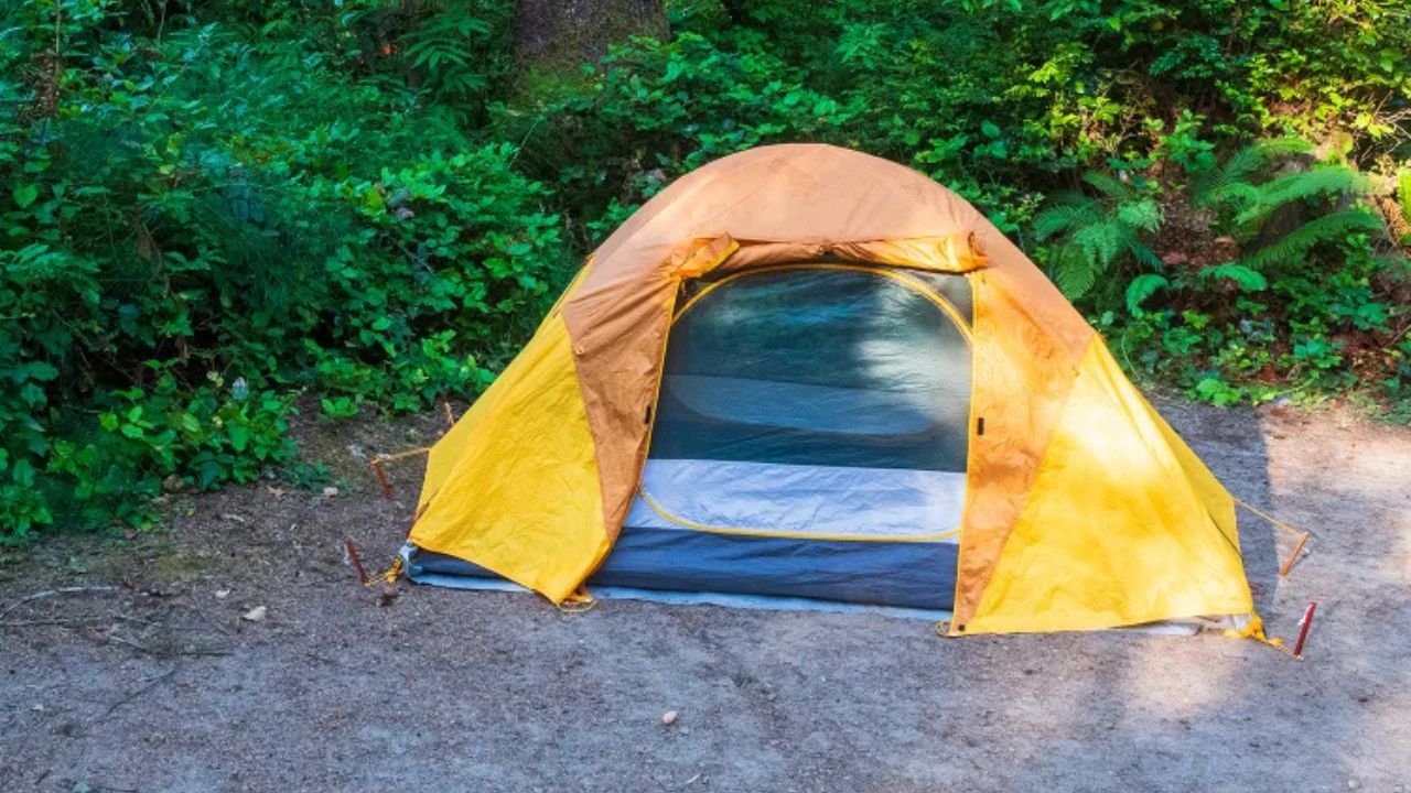 Midnight Horror on Hiking Trail Authorities Say Man Kidnapped Two Female Campers From Their Tent