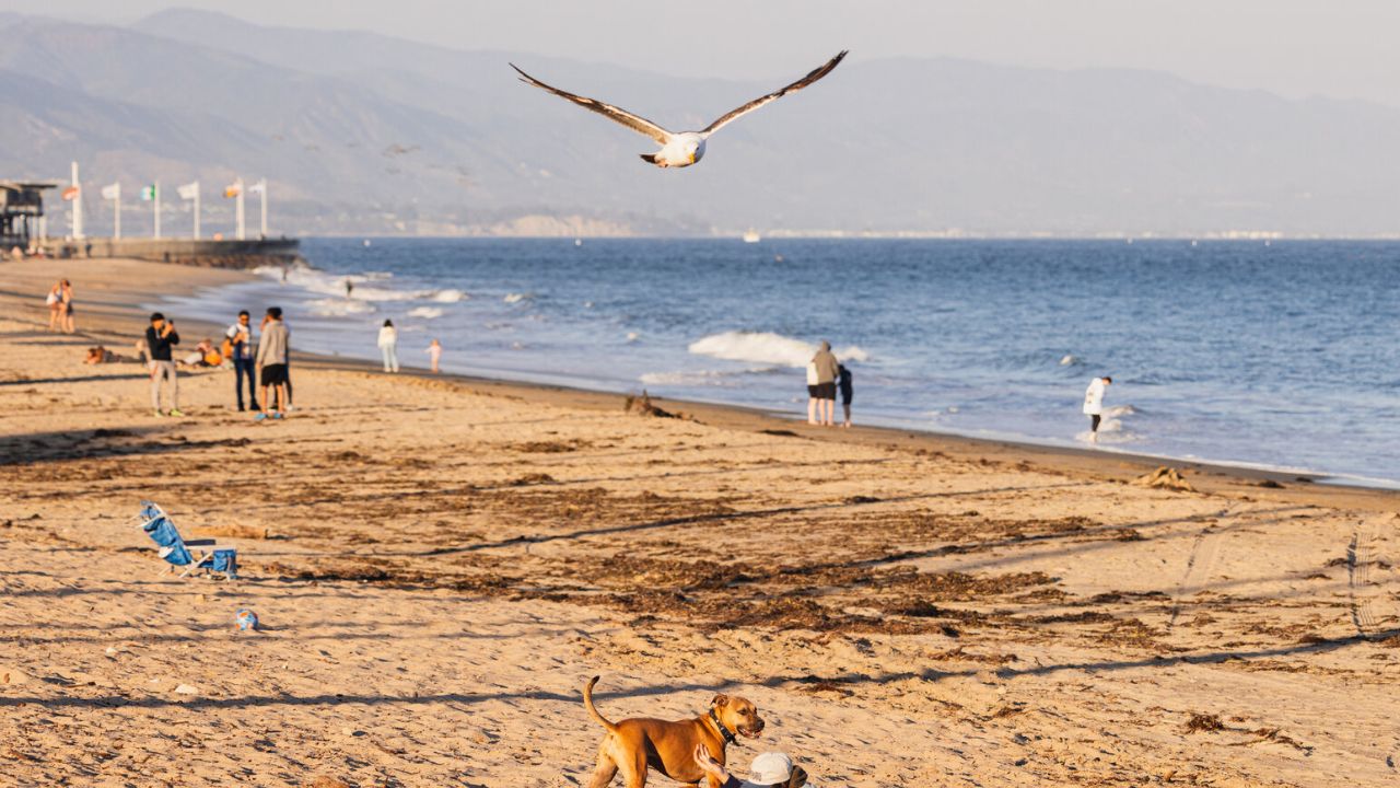 Most Americans Are Facing More Extreme Summer Heat, But Coastal California Is Different